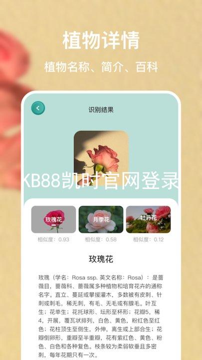 KB88凯时官网登录