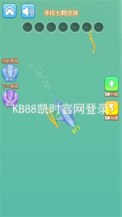 KB88凯时官网登录