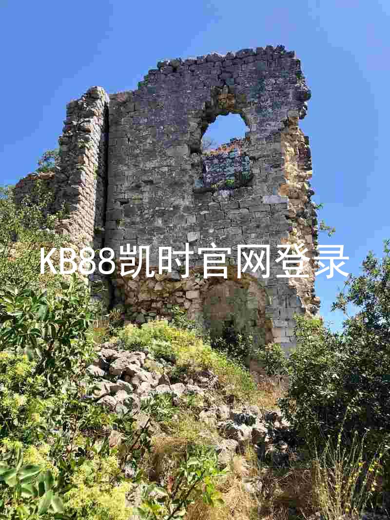 KB88凯时官网登录