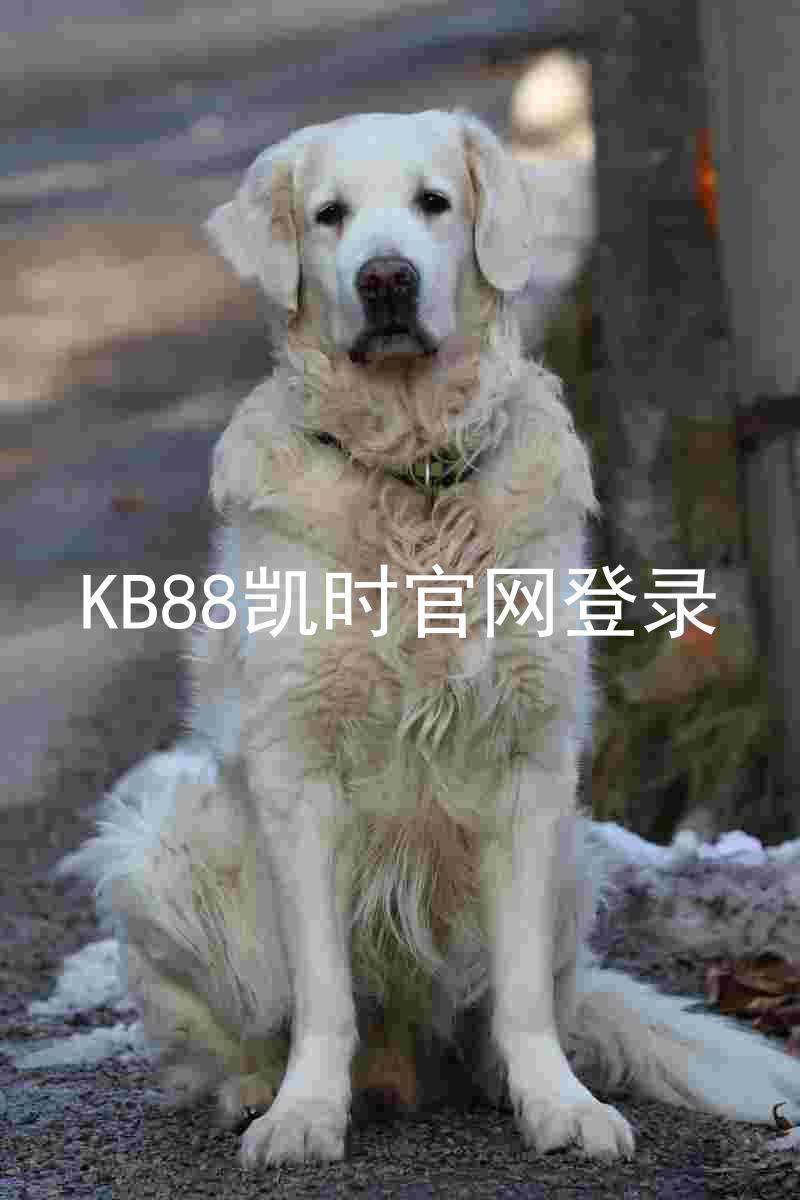 KB88凯时官网登录