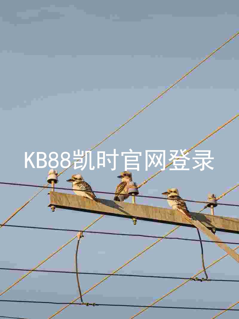 KB88凯时官网登录