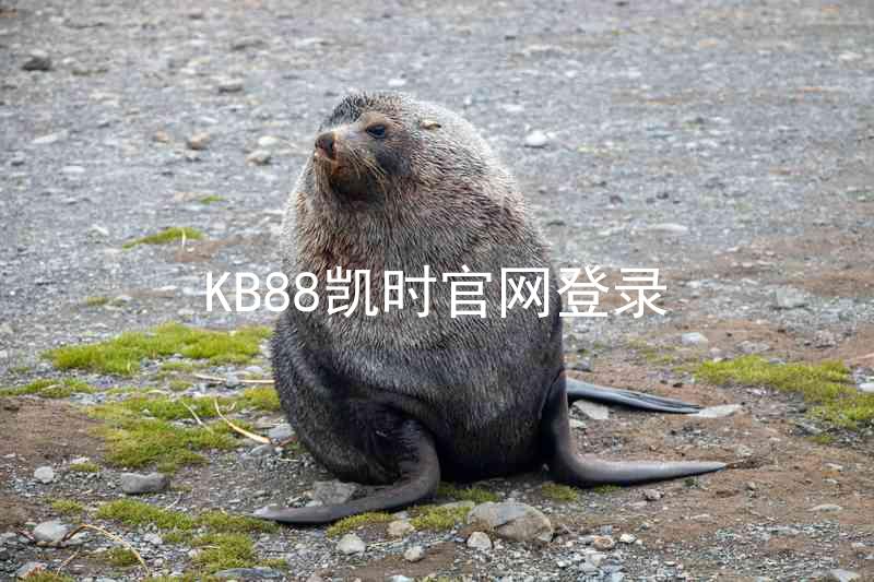 KB88凯时官网登录